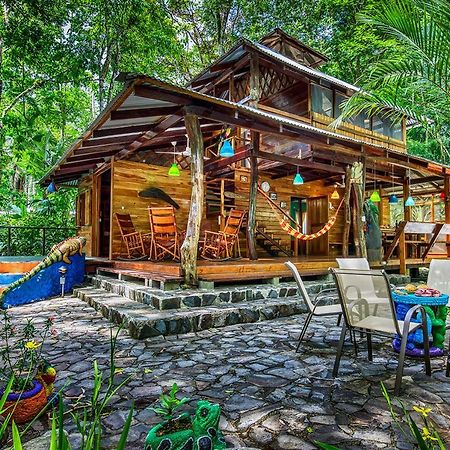 Congo Bongo Ecovillage Costa Rica Puerto Viejo de Talamanca 外观 照片