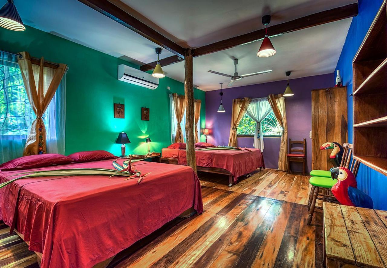 Congo Bongo Ecovillage Costa Rica Puerto Viejo de Talamanca 外观 照片