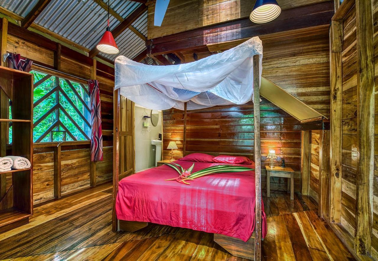 Congo Bongo Ecovillage Costa Rica Puerto Viejo de Talamanca 外观 照片