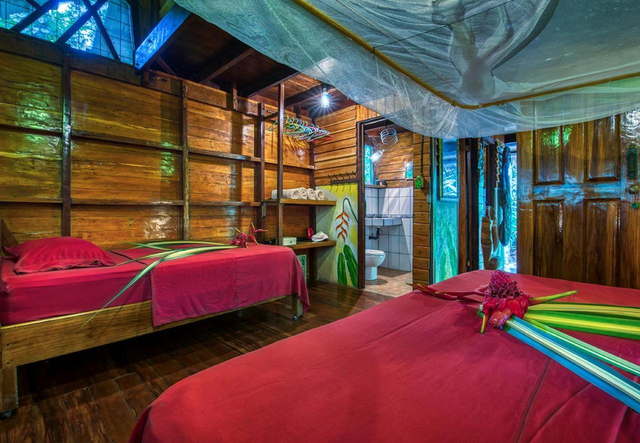 Congo Bongo Ecovillage Costa Rica Puerto Viejo de Talamanca 外观 照片