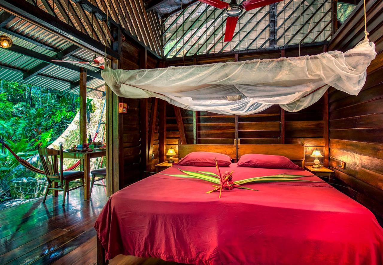 Congo Bongo Ecovillage Costa Rica Puerto Viejo de Talamanca 外观 照片