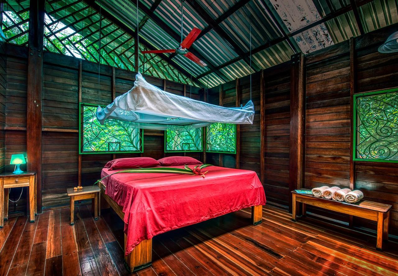 Congo Bongo Ecovillage Costa Rica Puerto Viejo de Talamanca 外观 照片
