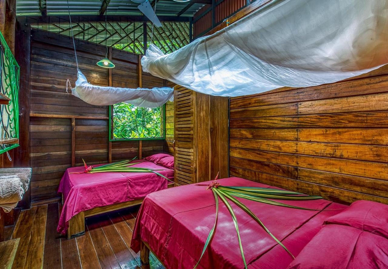 Congo Bongo Ecovillage Costa Rica Puerto Viejo de Talamanca 外观 照片